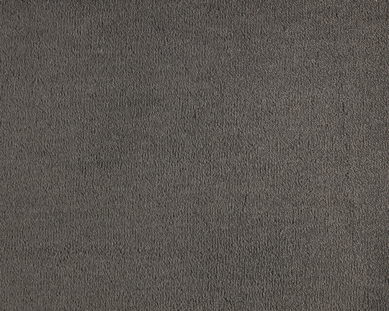 Celeste - 810 Astrakan